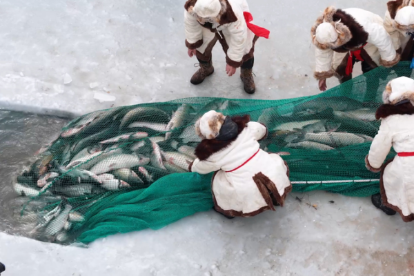 Bosten Lake's Winter Fishing Fest ❄️🐟 video poster