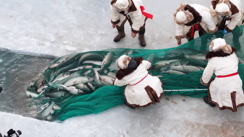 Bosten Lake's Winter Fishing Fest ❄️🐟 video poster