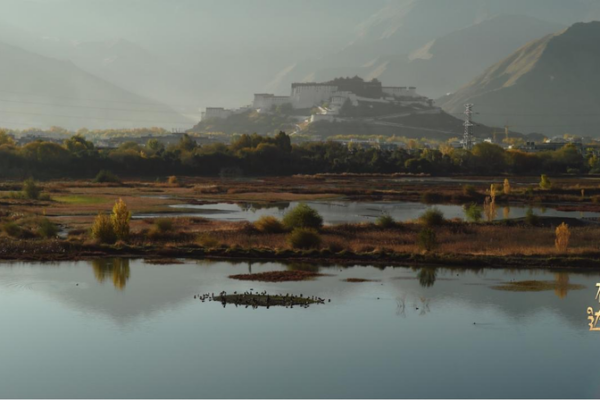 Lhalu_Wetland__Lhasa_s_High_Altitude__Lung__Leading_Eco_Revival