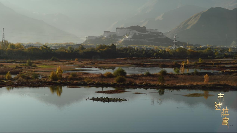 Lhalu_Wetland__Lhasa_s_High_Altitude__Lung__Leading_Eco_Revival