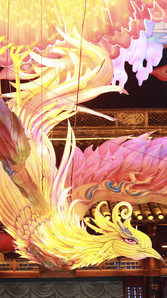 Nanjing_s_Confucius_Temple_Lights_Up_with_New_Year_Lanterns video poster