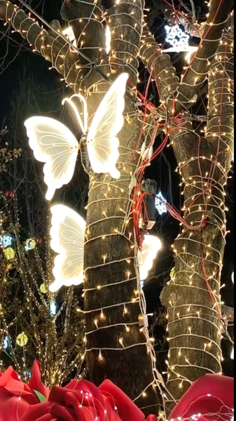 Discover Beijing’s Free Snow Garden at Shougang Park ❄️ video poster