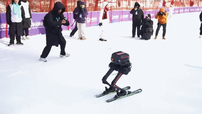 Robots Brave -20°C at Jingyue Ice & Snow Competition