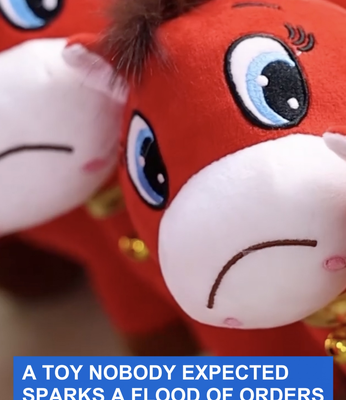 Sad_Faced_Plush_Horse_Goes_Viral__Sparks_a_Surge_in_Orders video poster