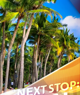 Soak_Up_Winter_Sunshine_on_Hainan_s_Coconut_Dream_Corridor video poster