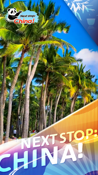 Soak_Up_Winter_Sunshine_on_Hainan_s_Coconut_Dream_Corridor video poster