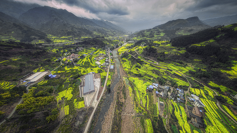 Spring_Vibes_in_Winter__Rapeseed_Blooms_Light_Up_Sichuan_Fields video poster