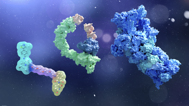 SupTACs__The_New_Frontier_in_Precision_Protein_Degradation