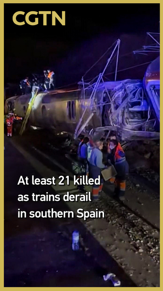 Train_Tragedy__21_Dead_in_Southern_Spain_Derailment video poster