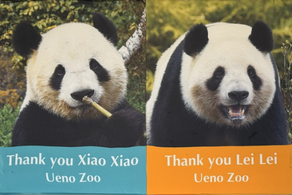 Twin_Pandas_Xiao_Xiao___Lei_Lei_to_Leave_Ueno_Zoo