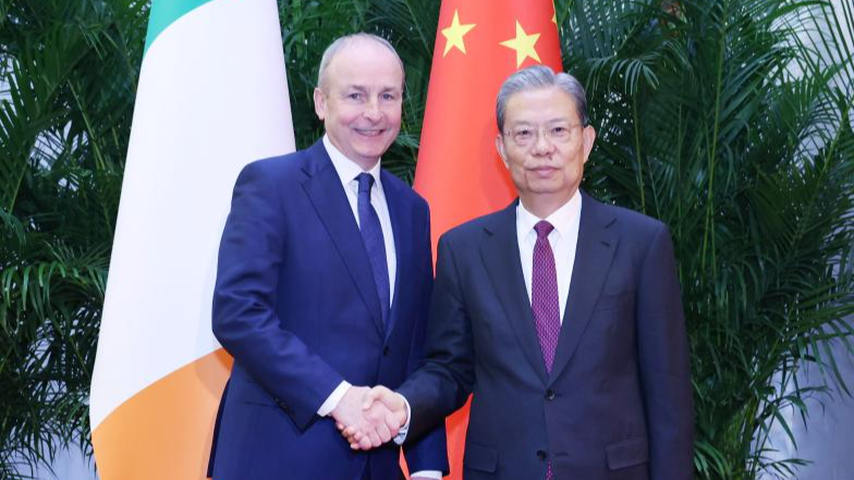 China’s Top Legislator Meets Ireland’s Taoiseach in Beijing