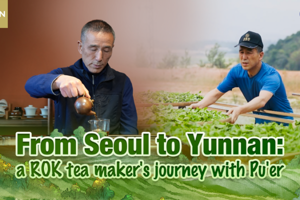 From Seoul to Yunnan: ROK Tea Master Kim Yong Mun’s Pu’er Journey video poster
