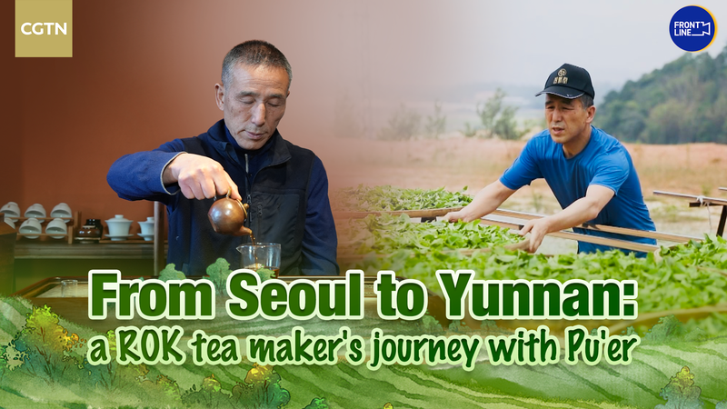 From Seoul to Yunnan: ROK Tea Master Kim Yong Mun’s Pu’er Journey video poster