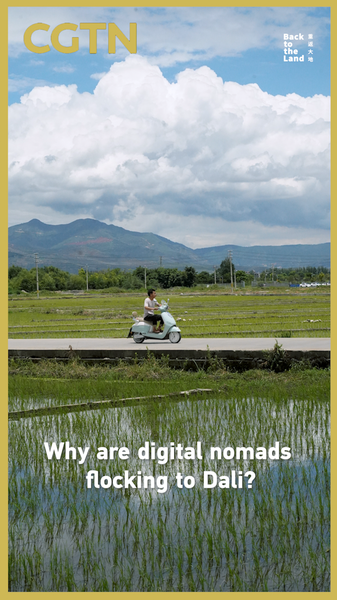 Why_Digital_Nomads_Are_Flocking_to_Dali video poster