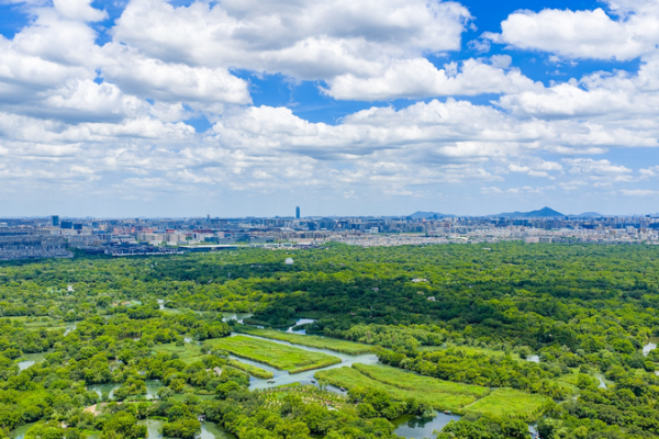 Hangzhou Named One of UN’s Top 20 Zero-Waste Cities 🌱
