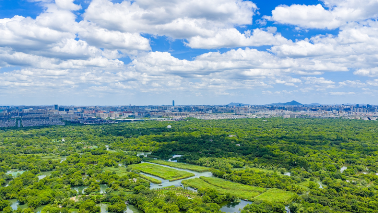 Y79X56L03YQBDPAB1X9J - Namaste Headlines Hangzhou Named One of UN’s Top 20 Zero-Waste Cities 🌱