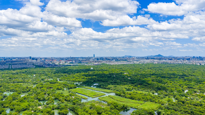 Hangzhou Named One of UN’s Top 20 Zero-Waste Cities 🌱