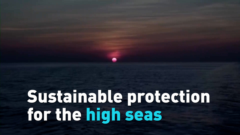 Global High Seas Treaty Sets Sail: Two-Thirds of Oceans Now Protected 🌊 video poster